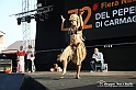 VBS_9130 - Fiera del Peperone di Carmagnola - Festa di Re Peperone e Bela Povronera